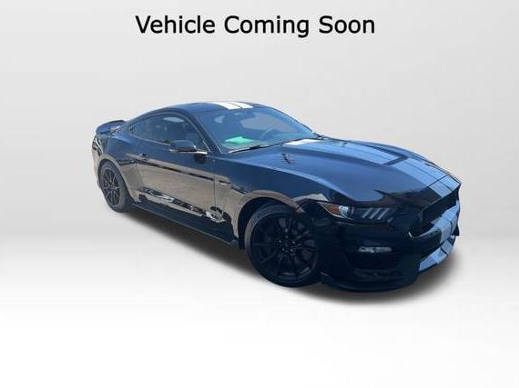 FORD MUSTANG 2019 1FA6P8JZXK5550755 image