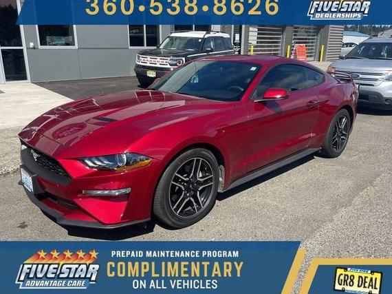 FORD MUSTANG 2019 1FA6P8TH1K5188352 image