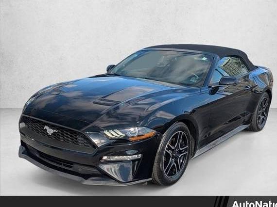 FORD MUSTANG 2019 1FATP8UH6K5170205 image