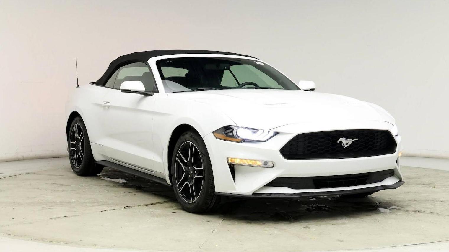 FORD MUSTANG 2019 1FATP8UH4K5163155 image