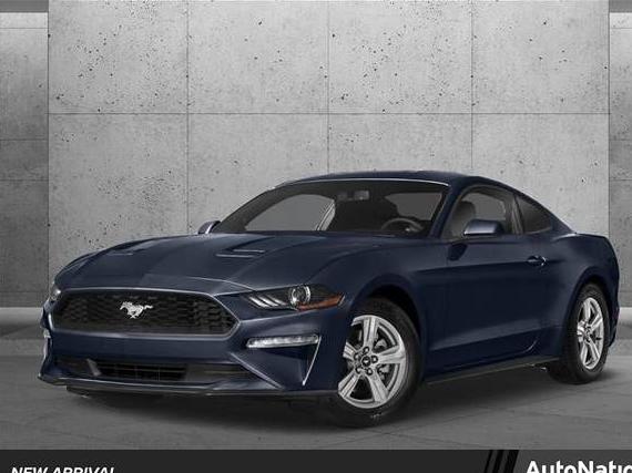 FORD MUSTANG 2019 1FA6P8CF6K5169603 image