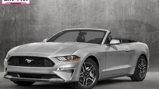 FORD MUSTANG 2019 1FATP8UH9K5159117 image