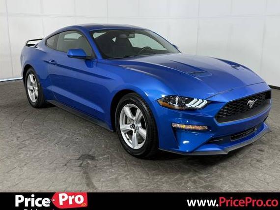FORD MUSTANG 2019 1FA6P8TH5K5175037 image