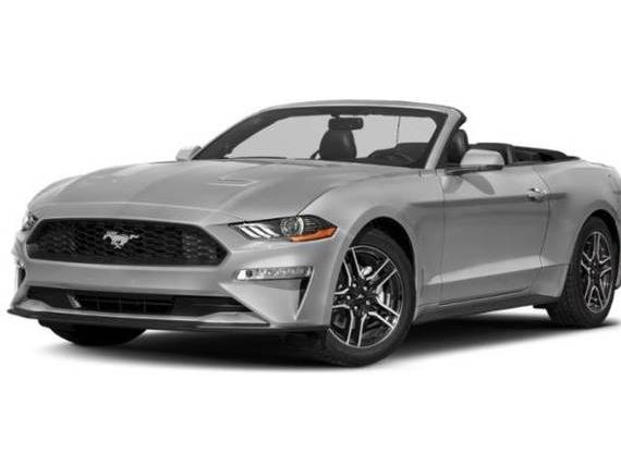 FORD MUSTANG 2019 1FA6P8K0XK5504195 image