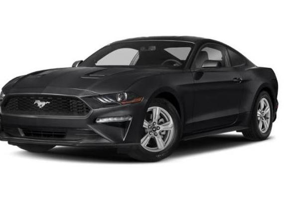 FORD MUSTANG 2019 1FA6P8TH7K5148213 image FORD MUSTANG 2019 1FA6P8TH7K5148213 image