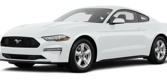 FORD MUSTANG 2019 1FA6P8TH2K5205031 image