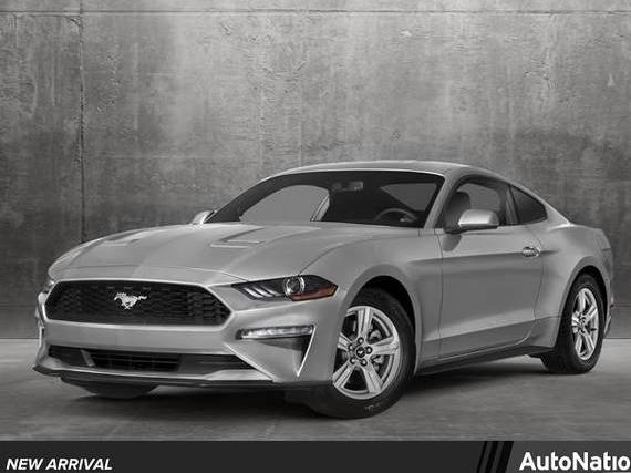 FORD MUSTANG 2019 1FA6P8TH8K5134403 image