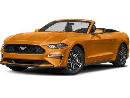 FORD MUSTANG 2019 1FATP8UH1K5176865 image