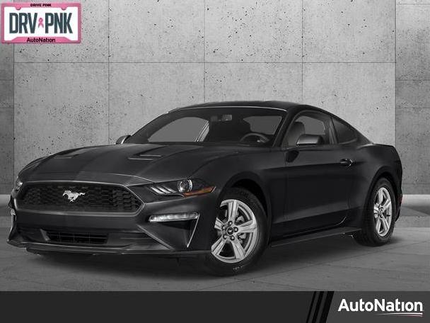 FORD MUSTANG 2019 1FA6P8CF3K5129916 image