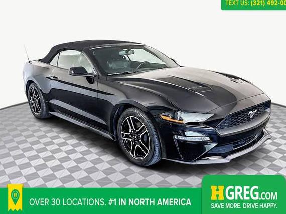 FORD MUSTANG 2019 1FATP8UH3K5149036 image