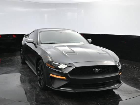 FORD MUSTANG 2019 1FA6P8TH9K5134975 image