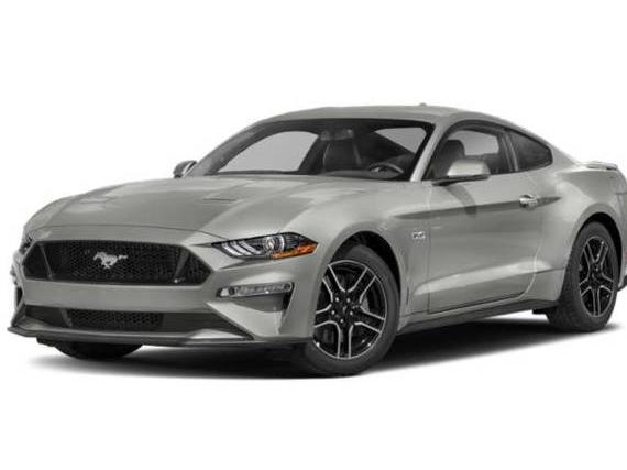 FORD MUSTANG 2019 1FA6P8CF0K5167202 image