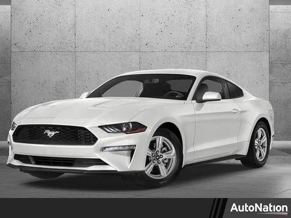 FORD MUSTANG 2019 1FA6P8CF8K5138952 image