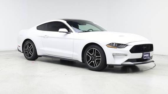 FORD MUSTANG 2019 1FA6P8TH4K5181489 image