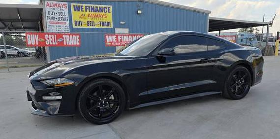 FORD MUSTANG 2019 1FA6P8TH0K5168268 image FORD MUSTANG 2019 1FA6P8TH0K5168268 image