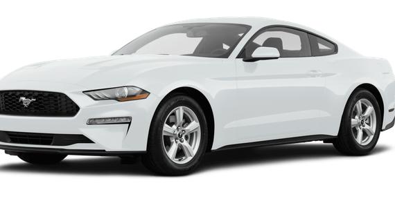 FORD MUSTANG 2019 1FA6P8TH5K5161350 image