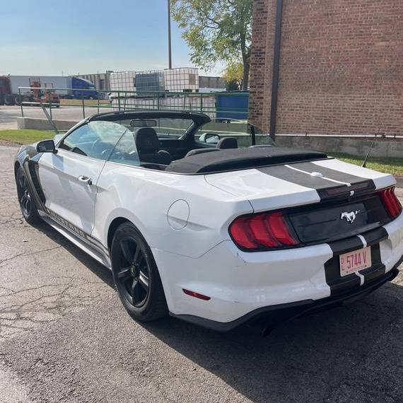 FORD MUSTANG 2019 1FATP8UH9K5158789 image