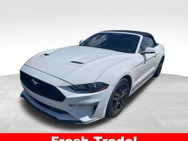 FORD MUSTANG 2019 1FATP8UH4K5153306 image