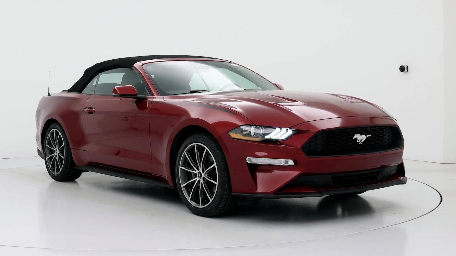 FORD MUSTANG 2019 1FATP8UH9K5159201 image