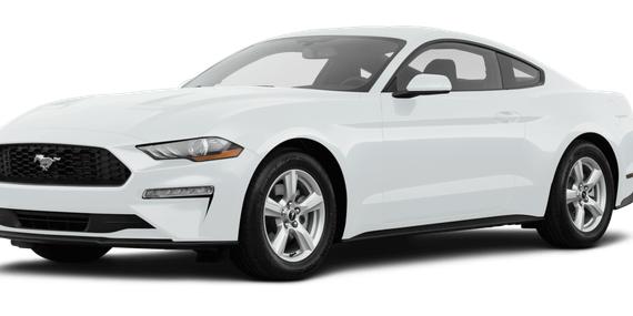 FORD MUSTANG 2019 1FA6P8THXK5169234 image