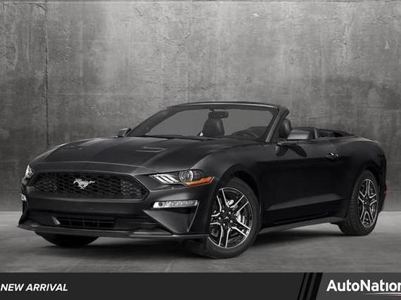 FORD MUSTANG 2019 1FATP8FF5K5171857 image