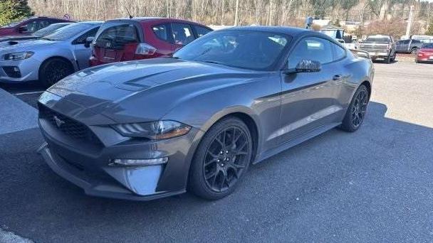 FORD MUSTANG 2019 1FA6P8TH7K5123599 image