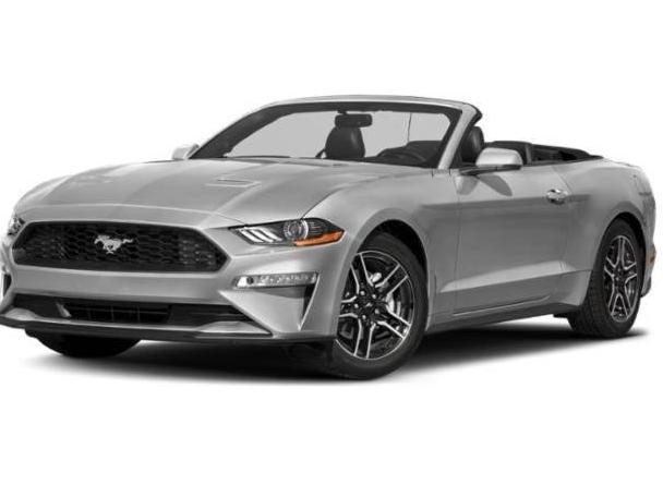 FORD MUSTANG 2019 1FATP8UH4K5129510 image