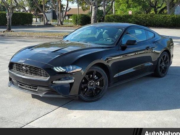 FORD MUSTANG 2019 1FA6P8TH0K5180629 image