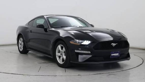 FORD MUSTANG 2019 1FA6P8TH2K5167297 image