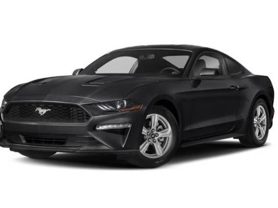 FORD MUSTANG 2019 1FA6P8TH3K5166112 image