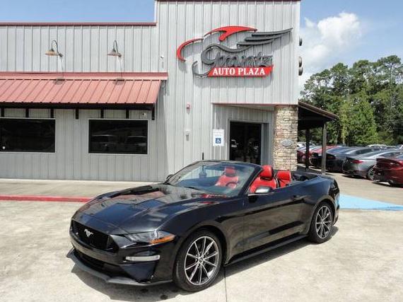 FORD MUSTANG 2019 1FATP8UH8K5186616 image