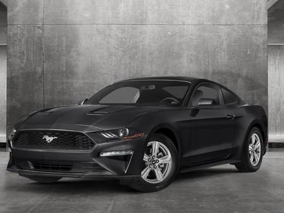 FORD MUSTANG 2019 1FA6P8TH5K5161168 image