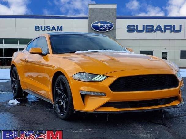 FORD MUSTANG 2019 1FA6P8TH3K5204101 image