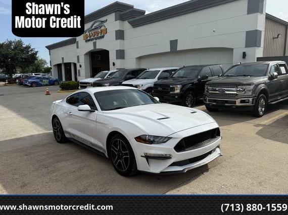 FORD MUSTANG 2019 1FA6P8TH7K5161950 image