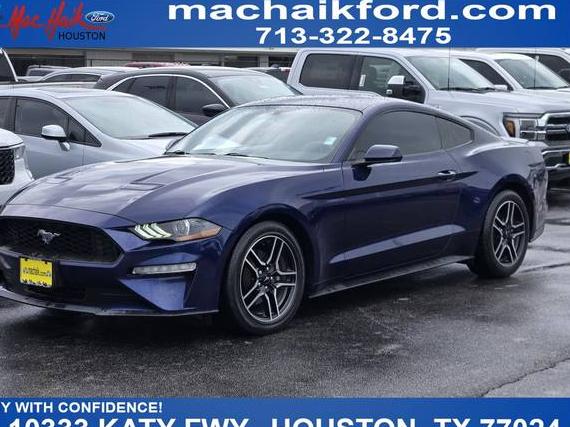 FORD MUSTANG 2019 1FA6P8TH3K5174954 image