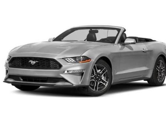 FORD MUSTANG 2019 1FATP8UH0K5157241 image