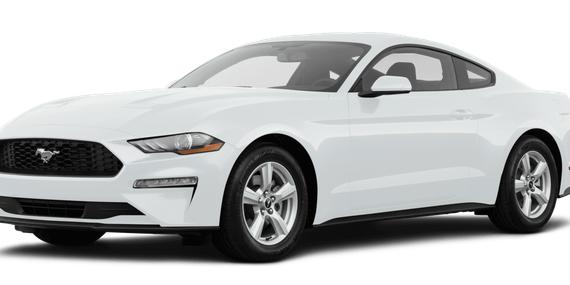 FORD MUSTANG 2019 1FA6P8TH1K5134291 image