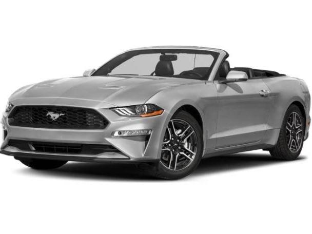 FORD MUSTANG 2019 1FATP8UH3K5174146 image