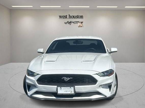 FORD MUSTANG 2019 1FA6P8TH4K5176616 image FORD MUSTANG 2019 1FA6P8TH4K5176616 image