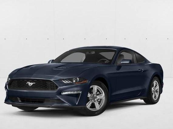FORD MUSTANG 2019 1FA6P8THXK5147685 image