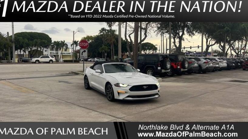 FORD MUSTANG 2019 1FATP8UH9K5179593 image