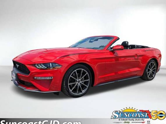 FORD MUSTANG 2019 1FATP8UH5K5176867 image