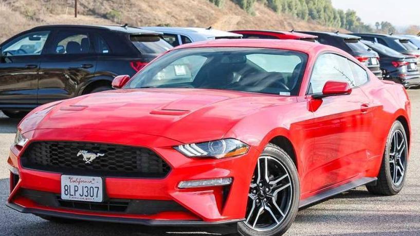 FORD MUSTANG 2019 1FA6P8TH2K5163671 image