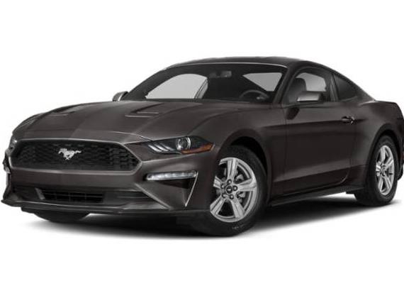 FORD MUSTANG 2019 1FA6P8TH2K5175447 image