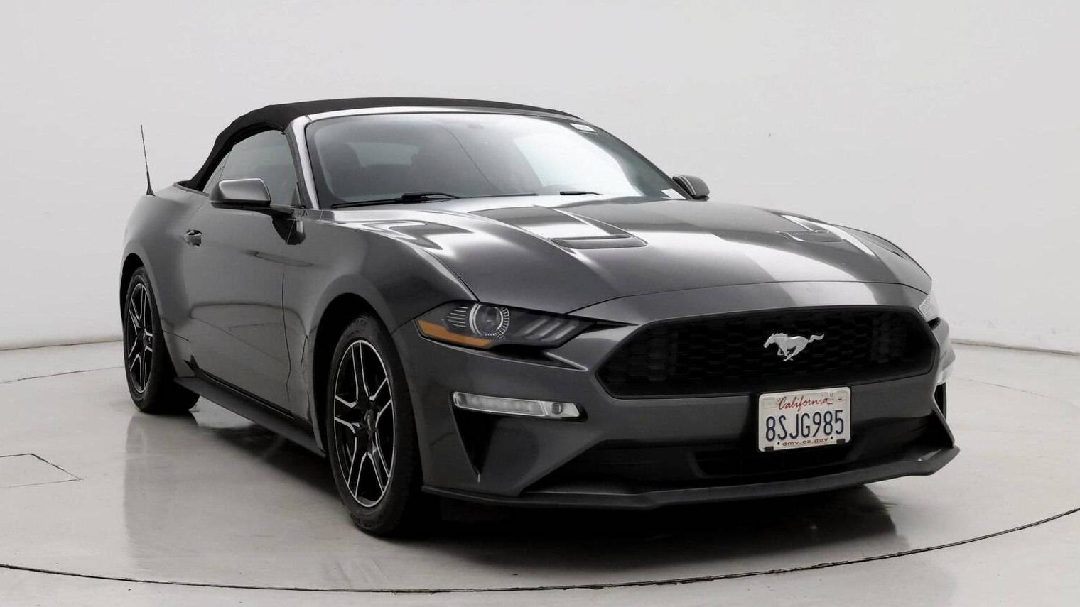 FORD MUSTANG 2019 1FATP8UH2K5148654 image