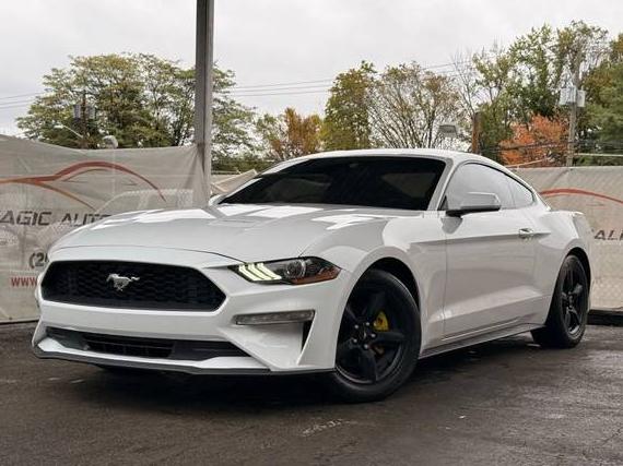 FORD MUSTANG 2019 1FA6P8TH8K5203106 image FORD MUSTANG 2019 1FA6P8TH8K5203106 image