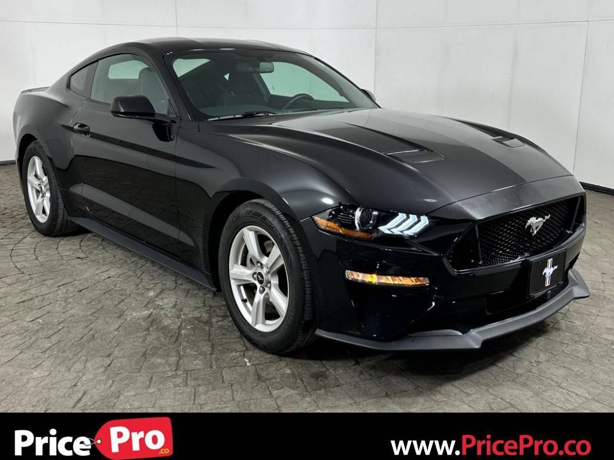 FORD MUSTANG 2019 1FA6P8TH4K5107277 image