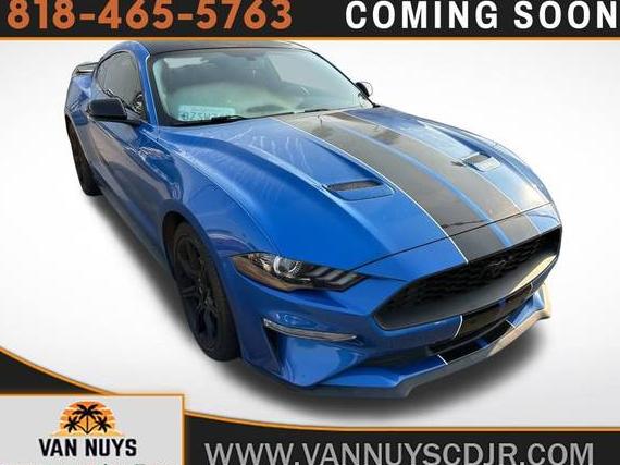 FORD MUSTANG 2019 1FA6P8TH0K5120513 image