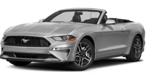 FORD MUSTANG 2019 1FATP8UH7K5123510 image