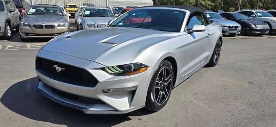 FORD MUSTANG 2019 1FATP8UH3K5181940 image FORD MUSTANG 2019 1FATP8UH3K5181940 image